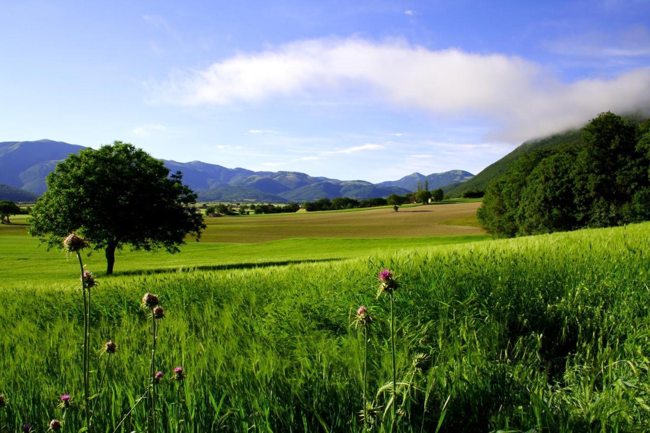 Agriturismo La Cascina Di Opaco Norcia Bagian luar foto