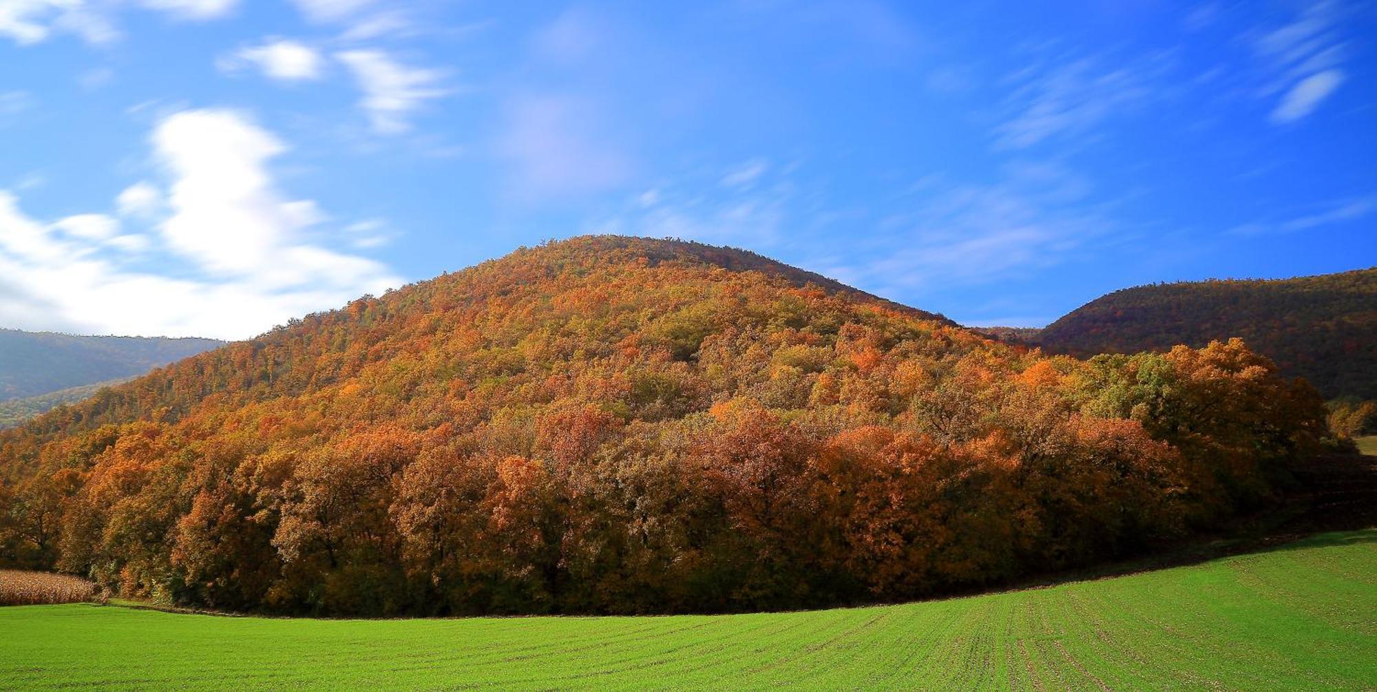 Agriturismo La Cascina Di Opaco Norcia Bagian luar foto