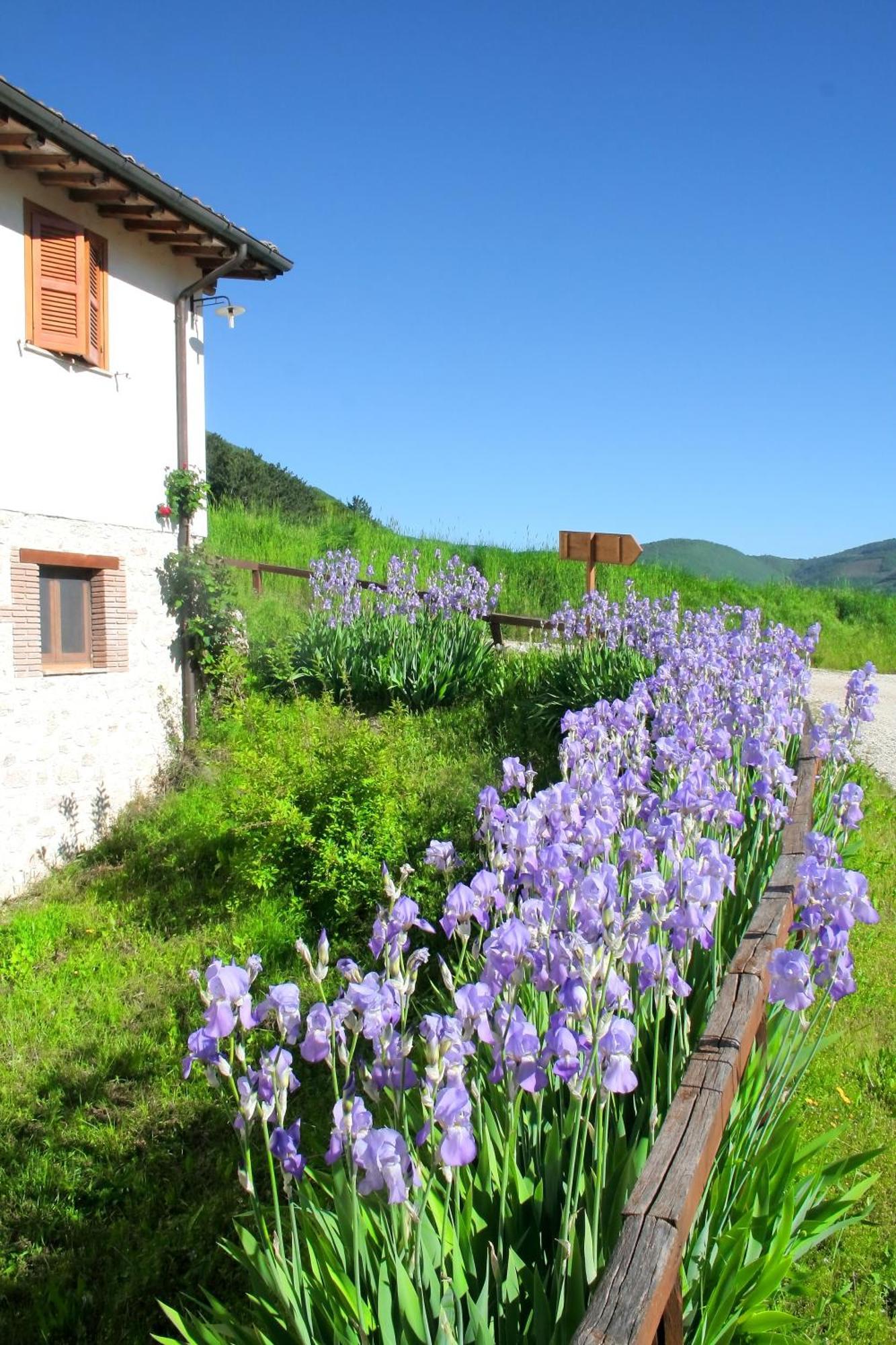 Agriturismo La Cascina Di Opaco Norcia Bagian luar foto